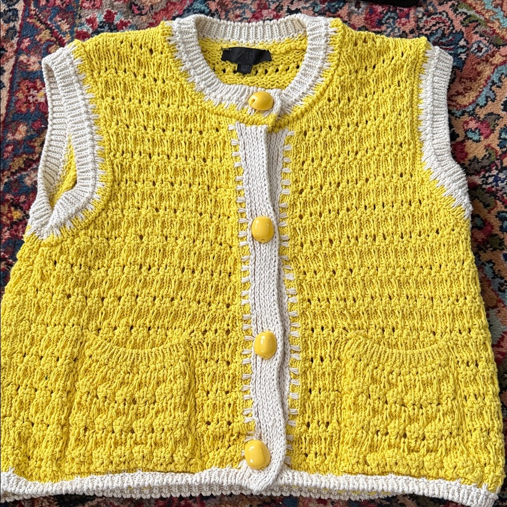 Zara Knit Sweater Vest